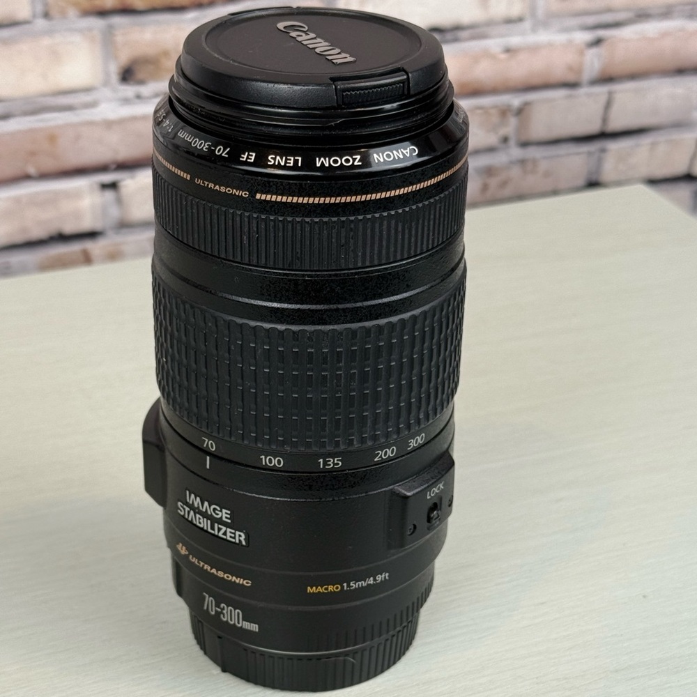 Canon EF 70-300mm f/4-5.6 IS USM Telephoto Zoom Lens